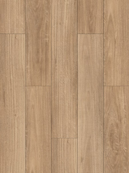 Blackbutt 12mm laminate flooring